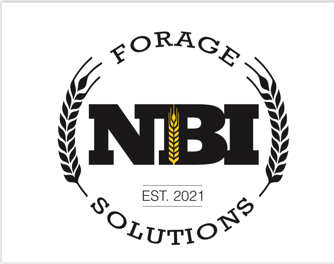 Collections Nbi forage soutions collections-nbi-forage-soutions