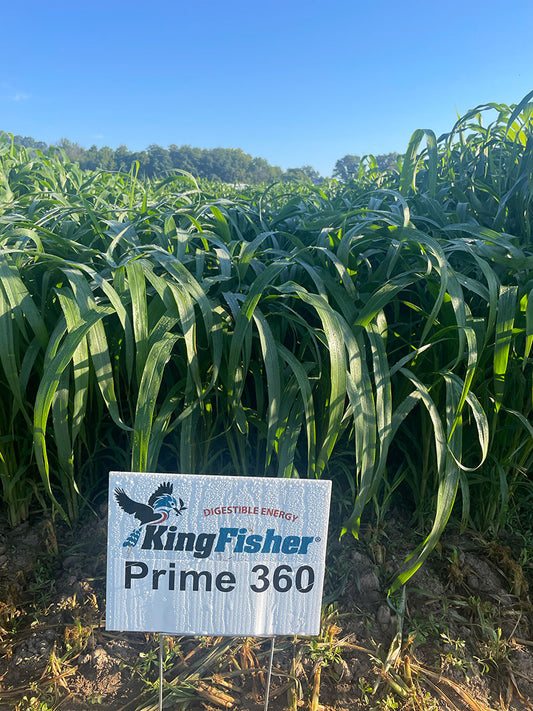 KF Prime 360 or 180 Millet